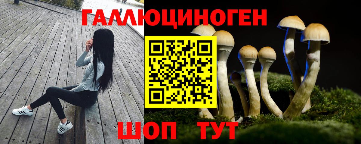 Галлюциногенные грибы GOLDEN TEACHER  Вход с VPN  наркошоп  Карталы 