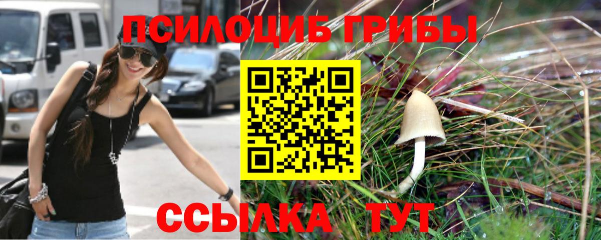 Псилоцибиновые грибы Cubensis Карталы